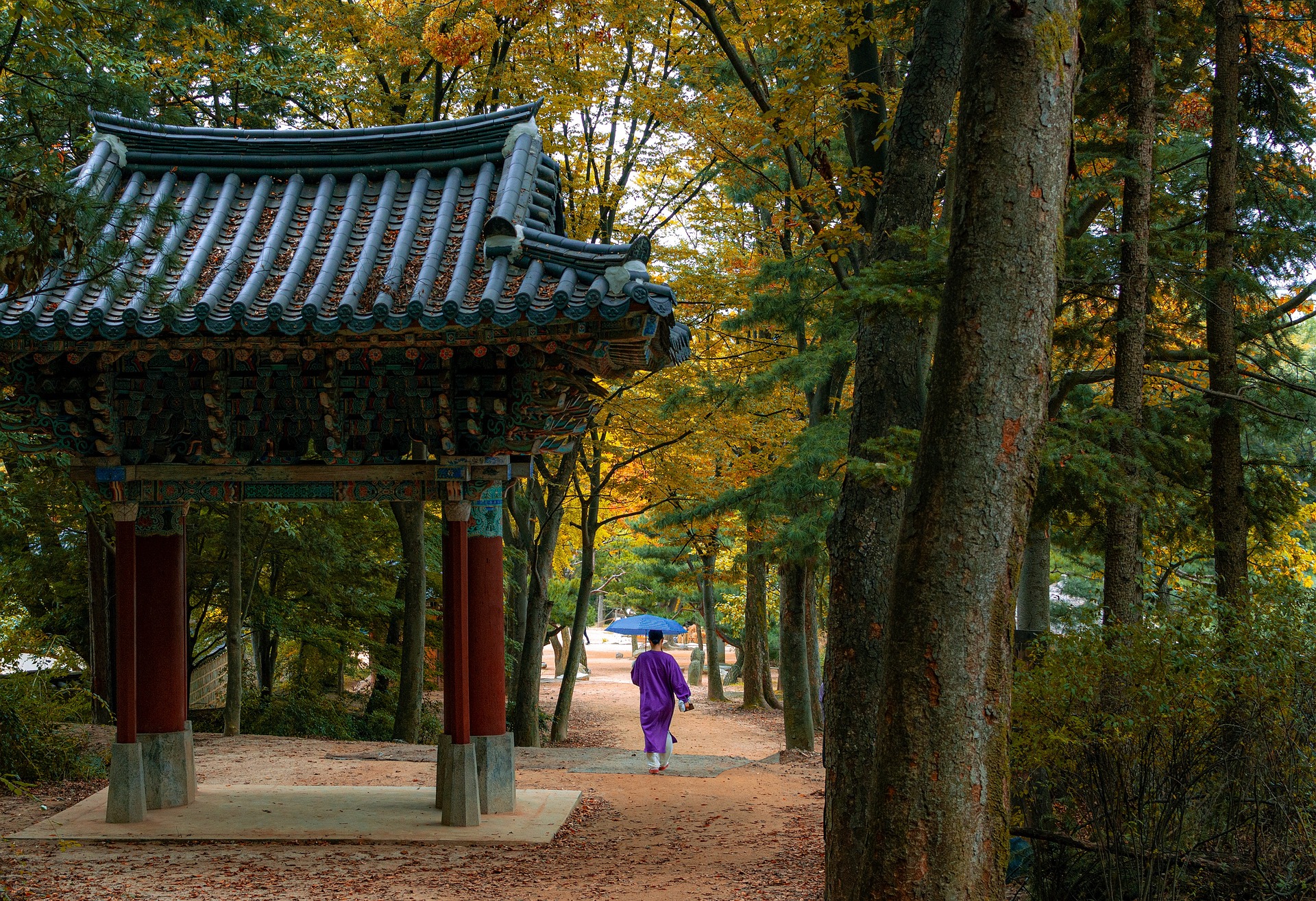 Top things to do for holidays in Korea